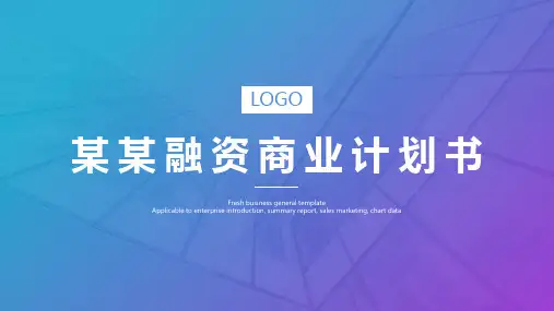 跨境电商平台商业计划书ppt