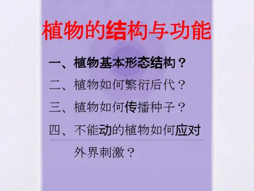 第四讲-植物的结构与功能