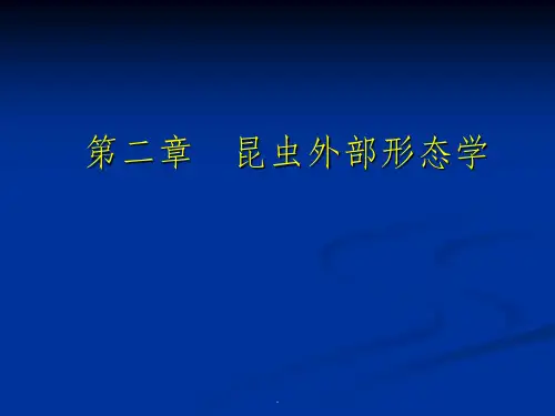 昆虫学第二章 昆虫的外部形态 一般构造