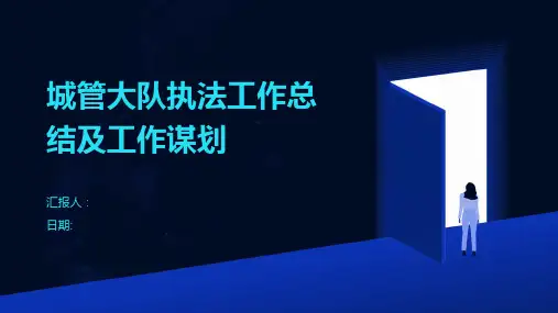 城管大队执法工作总结及工作谋划