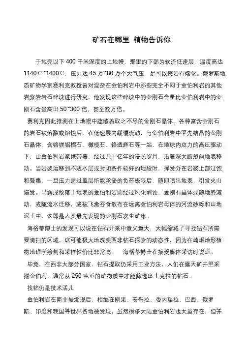 矿石在哪里 植物告诉你