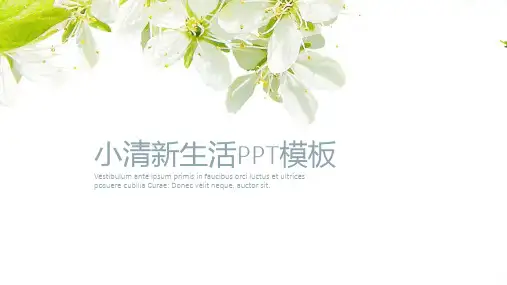 大气简约小清新生活策划书PPt模板