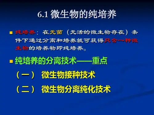 纯培养分离技术+细菌总数