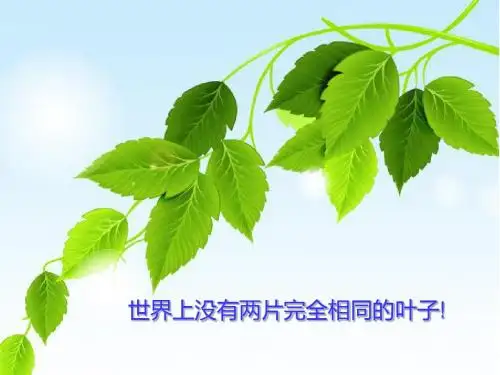 仁爱英语八上U4T1 SectionA 说课PPT