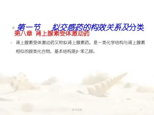 肾上腺素受体激动药  ppt课件