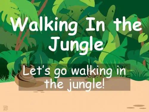14-7 Animal (Walking in the jungle )