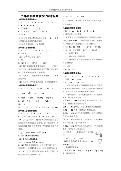 九年级化学寒假作业参考答案