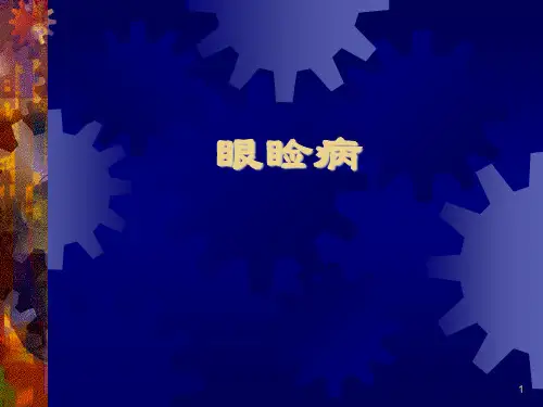 眼睑病PPT医学课件