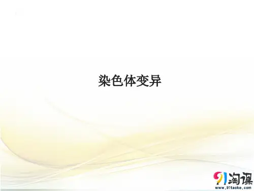 课件11：5.2 染色体变异