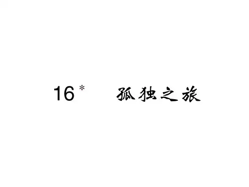 2018年秋人教版语文九年级上册习题课件:16 孤独之旅