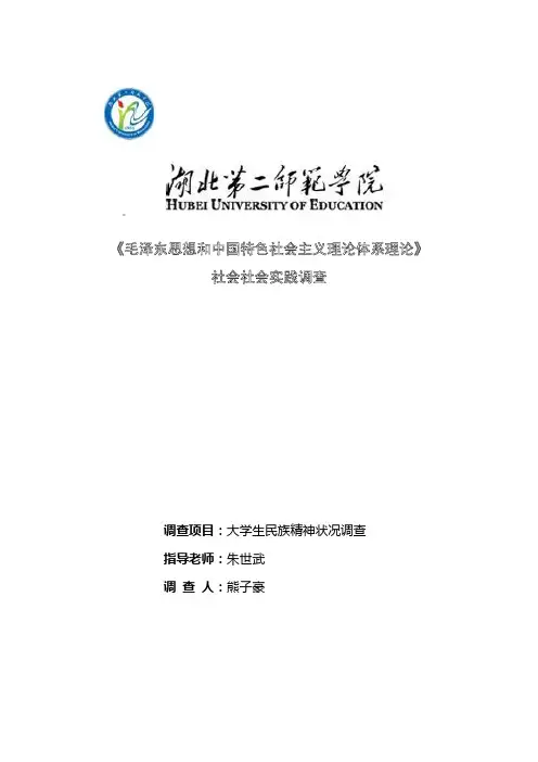 大学生民族精神实践调查--毛概