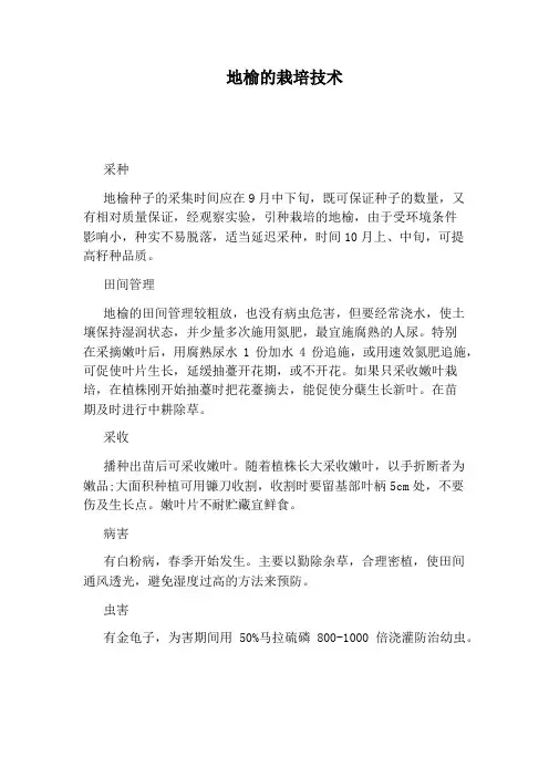 地榆的栽培技术