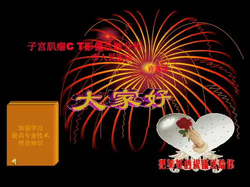 子宫肌瘤CT影像分析 共32页