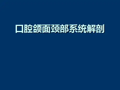 口腔颌面颈部系统解剖.