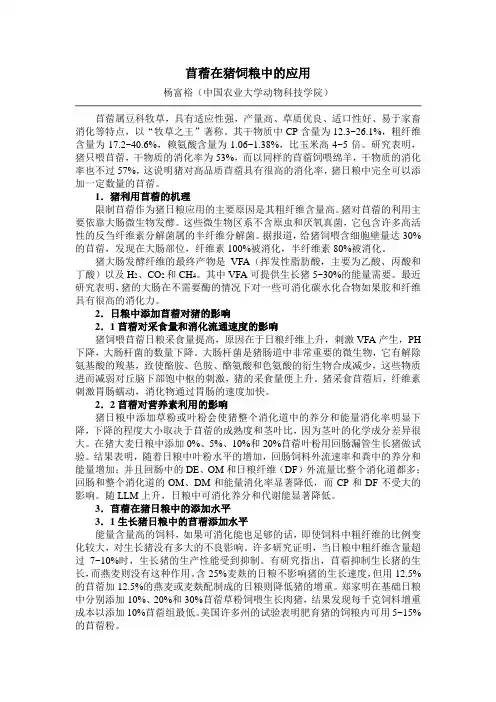 苜蓿在猪饲粮中的应用