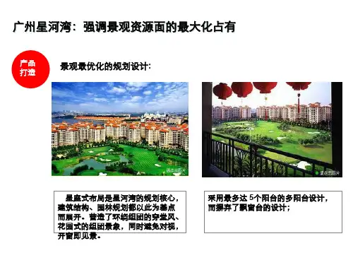 某房地产项目营销策略
