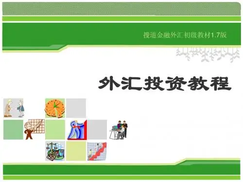 搜道外汇投资入门教材1.7版