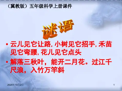 风的形成 ppt(冀教版)五年级科学上册PPT课件
