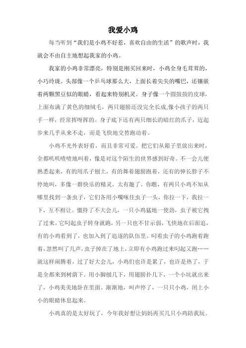 我爱小鸡