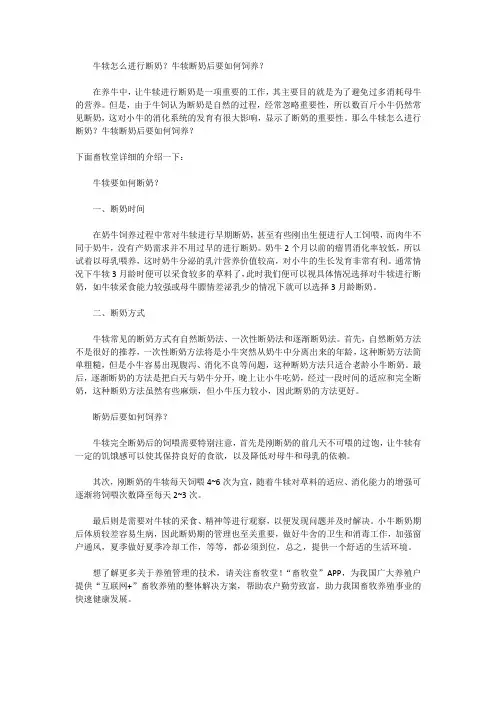 牛犊怎么进行断奶？牛犊断奶后要如何饲养？