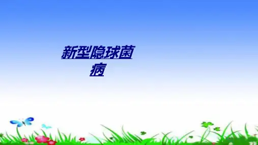 新型隐球菌病讲义