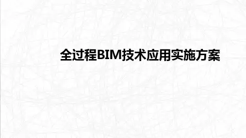 BIM实施方案及案例