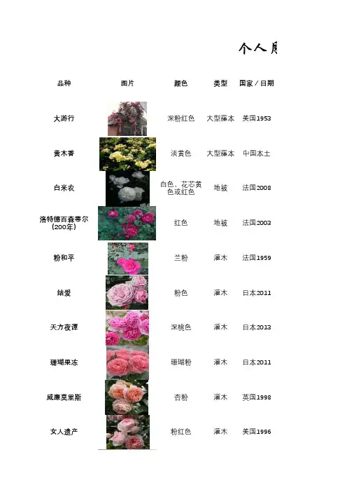 个人月季信息