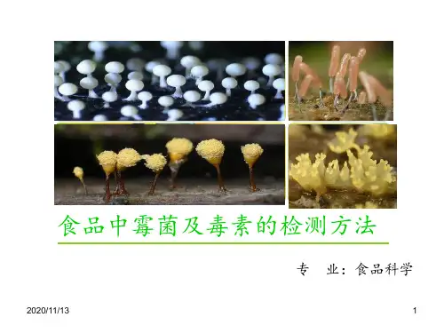 霉菌和毒素的检测方法 ppt课件