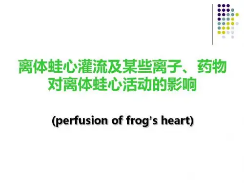 某些因素对离体蛙心心脏活动的影响实验报告2010-10-12(1)-PPT课件