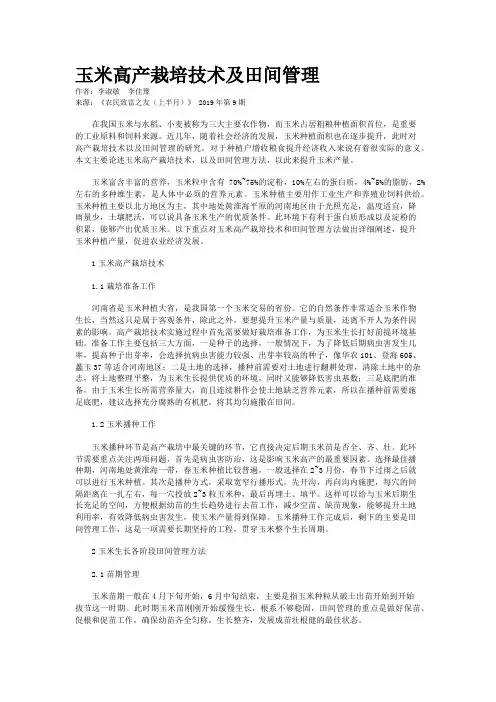 玉米高产栽培技术及田间管理