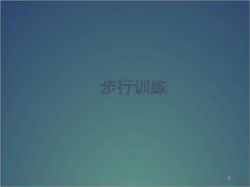 (优质课件)站立与步行训练