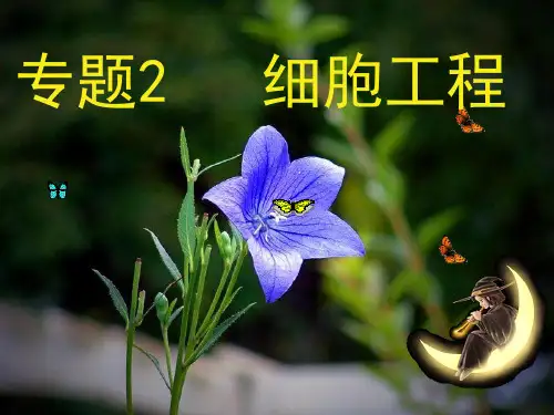 《植物细胞工程高三》PPT演示课件