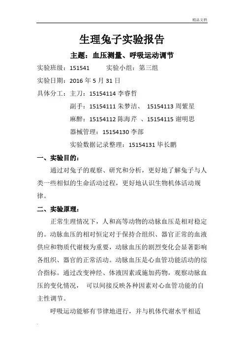 兔子实验报告 2