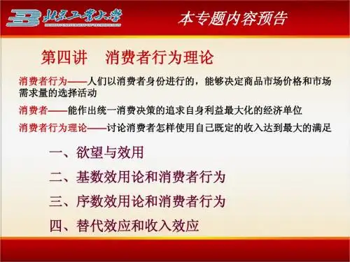 现代经济学概论第4讲消费者行为理论