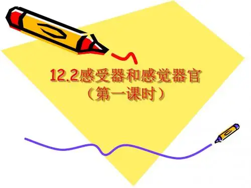 眼和视觉