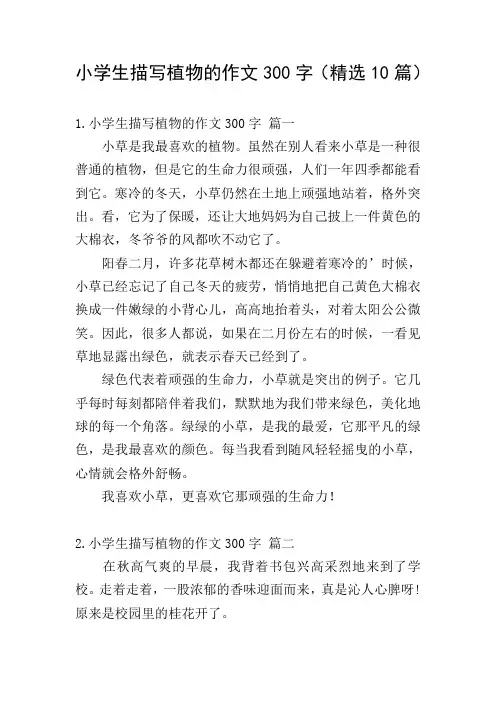 小学生描写植物的作文300字(精选10篇)