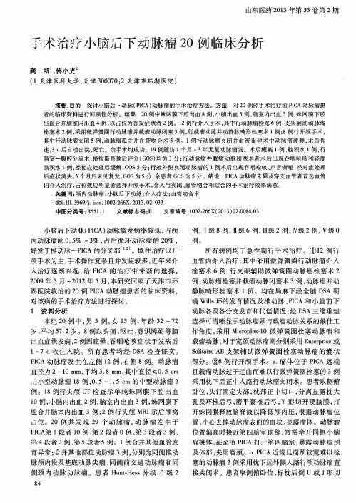 手术治疗小脑后下动脉瘤20例临床分析