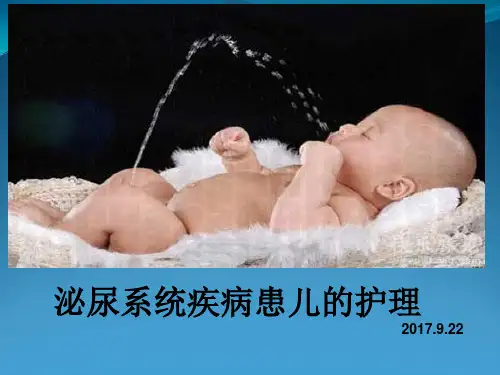 泌尿系统疾病患儿护理 (2)