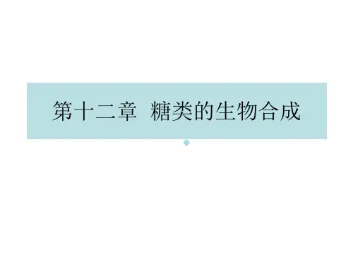 12糖类的生物合成