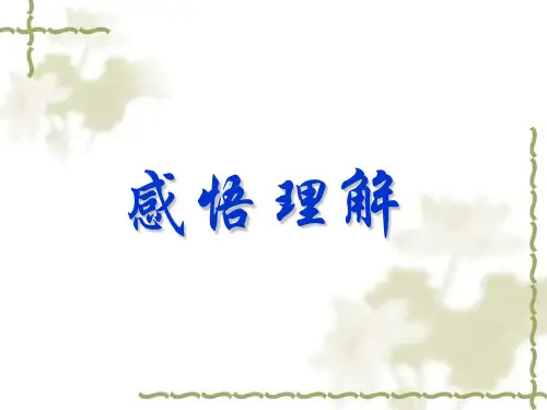 感悟理解