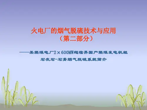 第二部分 火电厂烟气脱硫技术与应用(之3-石灰石-石膏法系统简介)