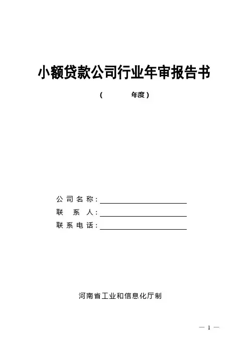 小额贷款公司行业年审报告书