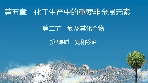 (新教材)2020-2021学年高中化学人教版必修第二册:第5章 第2节 第2课时 氨和铵盐