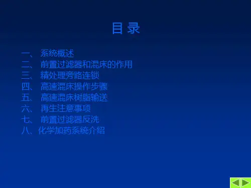 化学精处理及加药系统简介