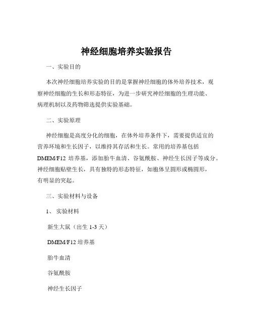神经细胞培养实验报告