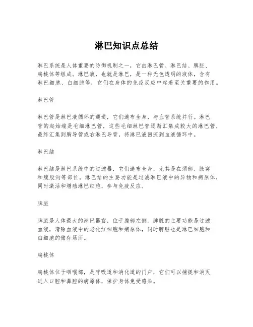 淋巴知识点总结