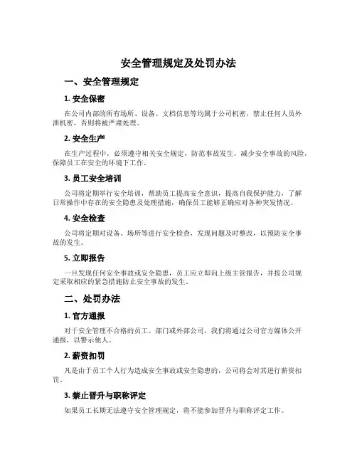 安全管理规定及处罚办法