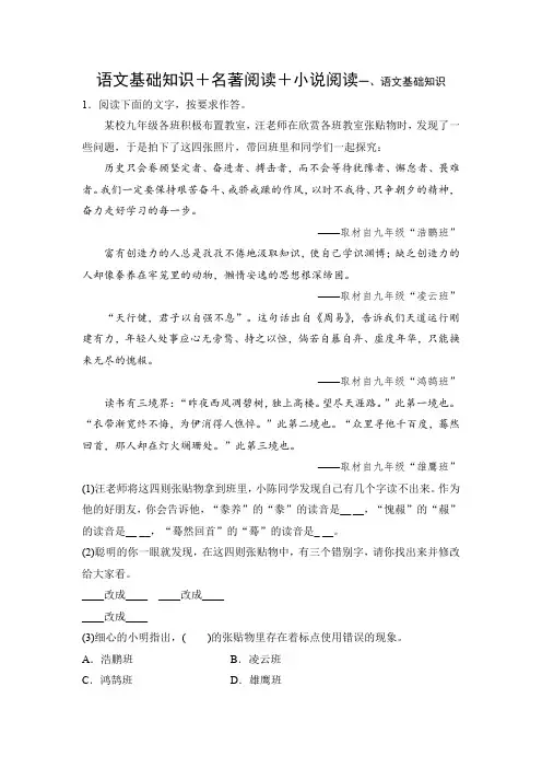 语文基础知识+名著阅读+小说阅读17
