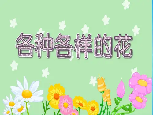 小学四年级下册- 各种各样的花教科版 ppt(11张)