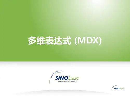 多维表达式(MDX)